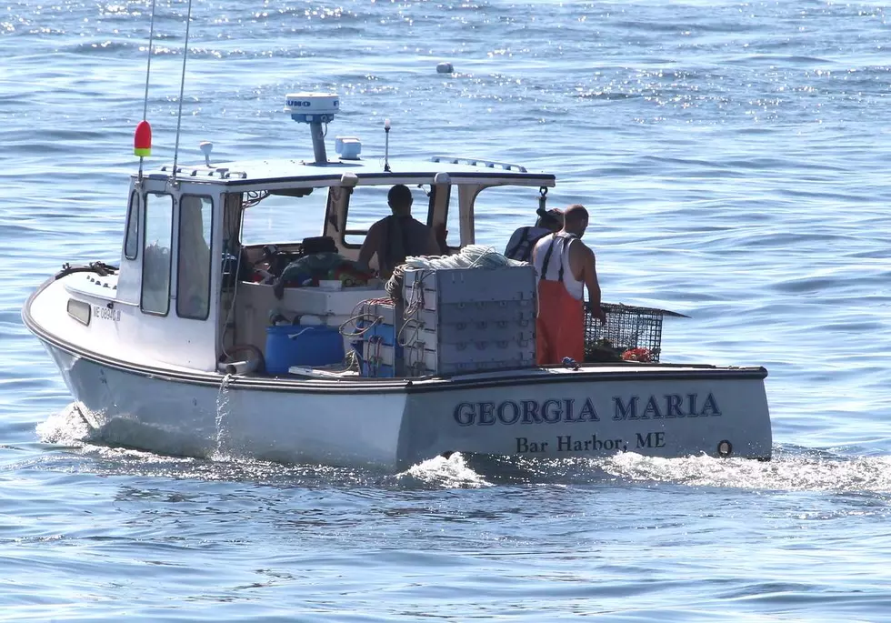 First National Bank Supports Maine’s Lobster Industry with $300k Donation