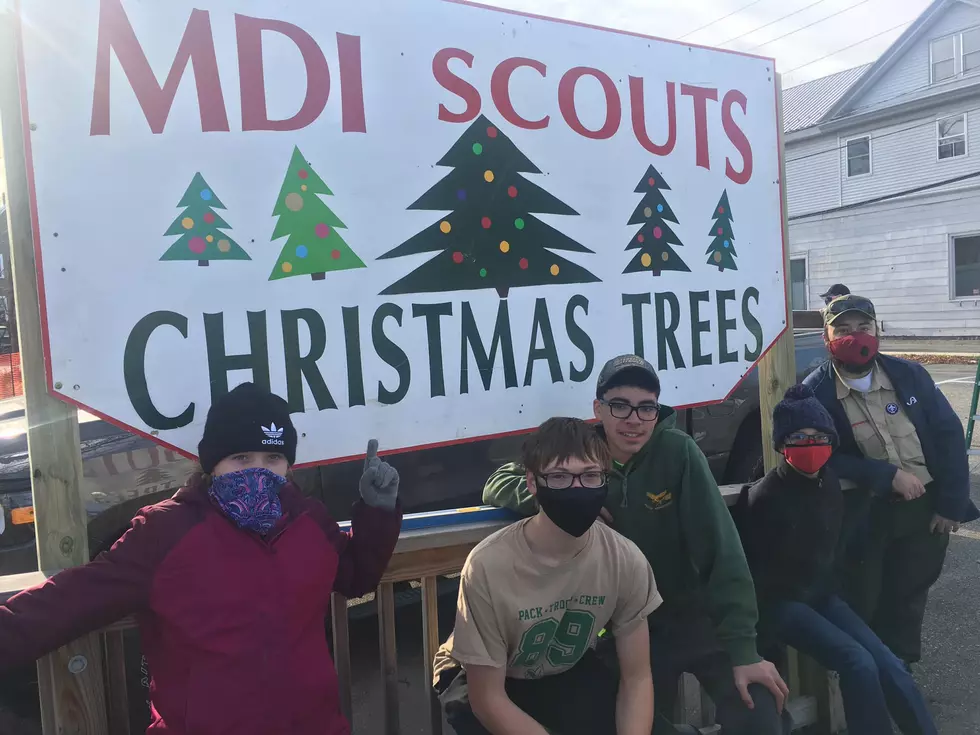 MDI Scouts Selling Wreaths and Trees