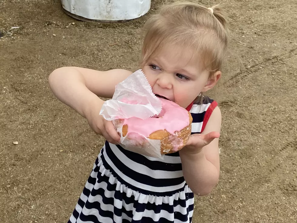 2025 Blue Hill Fair Schedule