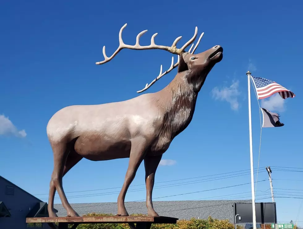 Ellsworth Elk’s Club Public Fish Fry and Hunter’s Breakfast