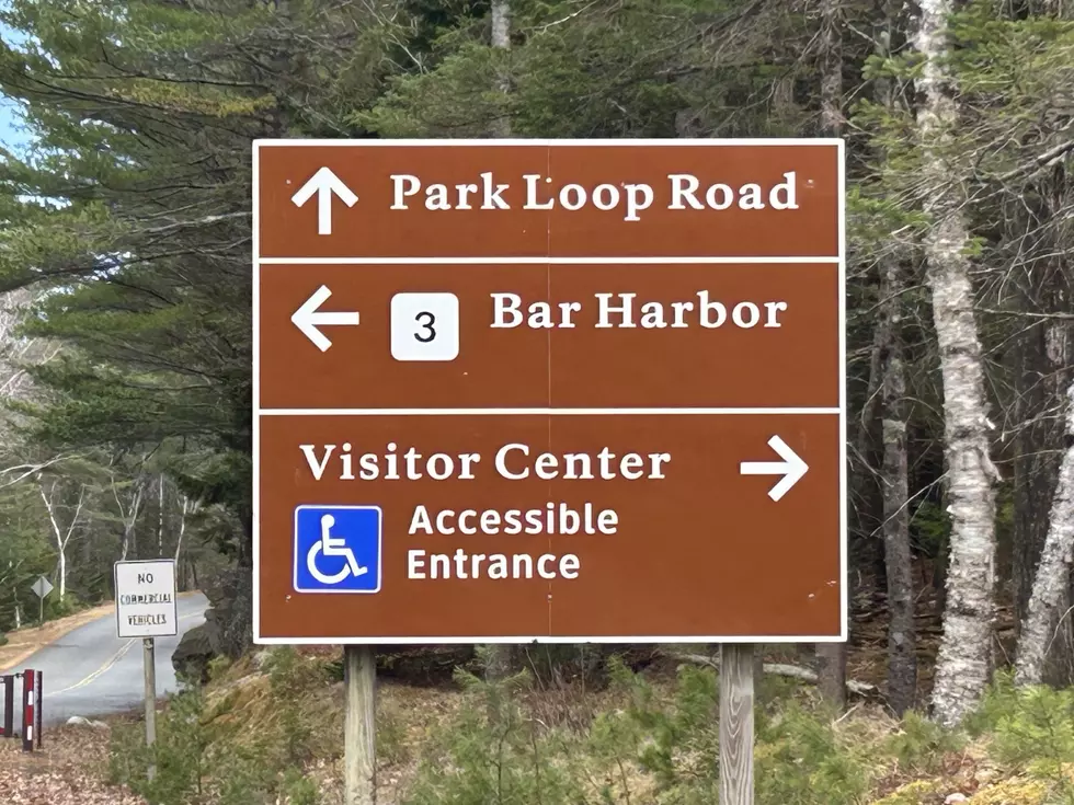 Acadia National Park’s Park Loop Road and Thompson Island Picnic Area Re-opens April 15